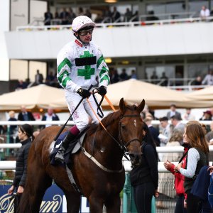 Doncaster | William Hill Trophy | 26/10/24