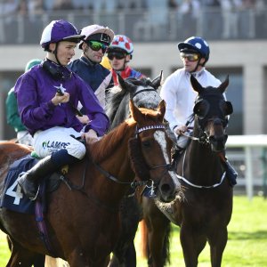Doncaster | William Hill Trophy | 26/10/24