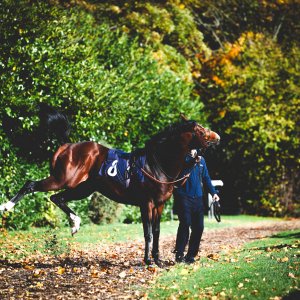 Doncaster | William Hill Trophy | 25/10/25