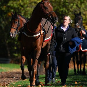 Doncaster | William Hill Trophy | 25/10/25