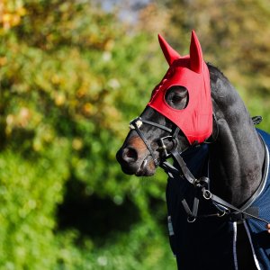 Doncaster | William Hill Trophy | 25/10/25