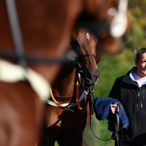 Doncaster | William Hill Trophy | 25/10/25