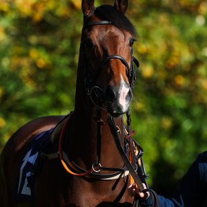 Doncaster | William Hill Trophy | 25/10/25