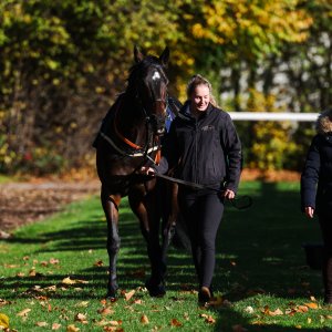 Doncaster | William Hill Trophy | 25/10/25