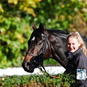 Doncaster | William Hill Trophy | 25/10/25