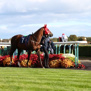 Doncaster | William Hill Trophy | 25/10/25