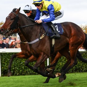 Doncaster | William Hill Trophy | 25/10/25