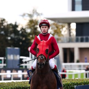 Doncaster | William Hill Trophy | 25/10/25