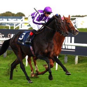 Doncaster | William Hill Trophy | 25/10/25