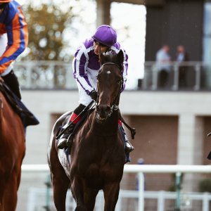 Doncaster | William Hill Trophy | 25/10/25