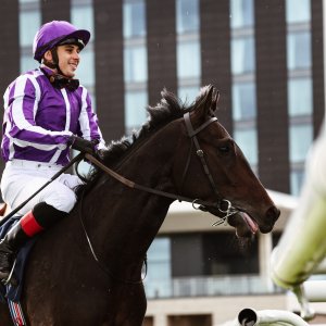 Doncaster | William Hill Trophy | 25/10/25