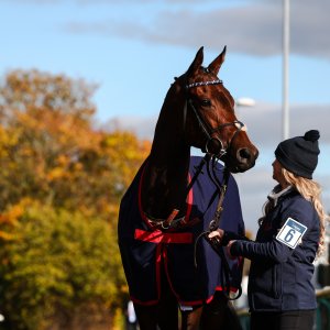 Doncaster | William Hill Trophy | 25/10/25