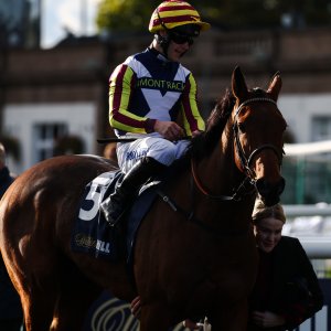 Doncaster | William Hill Trophy | 25/10/25