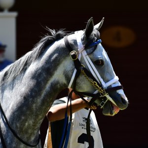 Texas | The Kentucky Derby Day | 3/5/25