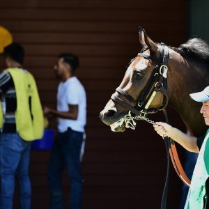 Texas | The Kentucky Derby Day | 3/5/25