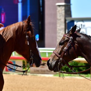 Texas | The Kentucky Derby Day | 3/5/25