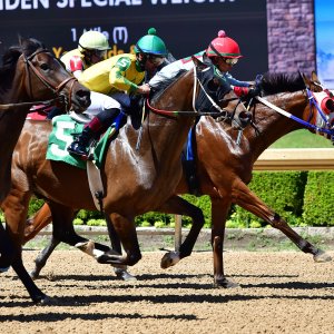 Texas | The Kentucky Derby Day | 3/5/25