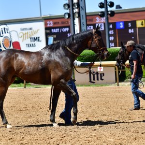 Texas | The Kentucky Derby Day | 3/5/25