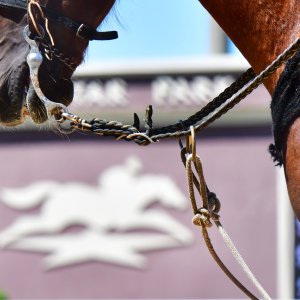 Texas | The Kentucky Derby Day | 3/5/25