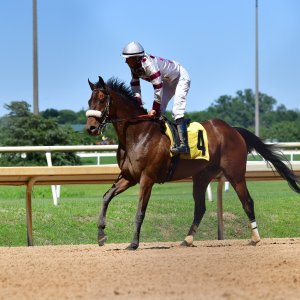 Texas | The Kentucky Derby Day | 3/5/25