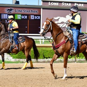 Texas | The Kentucky Derby Day | 3/5/25