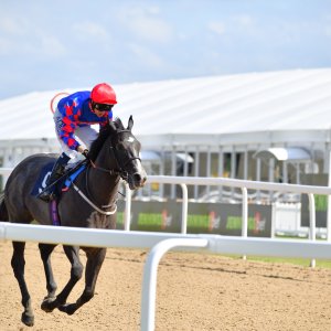 Newcastle | Northumberland Plate Festival | 27, 29/6/24