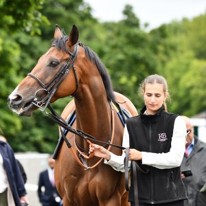 Newcastle | Northumberland Plate Festival | 27, 29/6/24