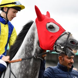 Newcastle | Northumberland Plate Festival | 27, 29/6/24