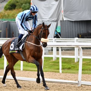 Newcastle | Northumberland Plate Festival | 27, 29/6/24