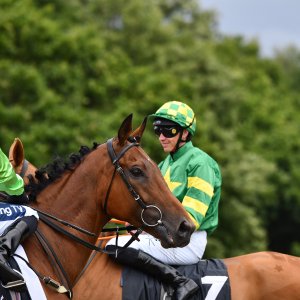 Newcastle | Northumberland Plate Festival | 27, 29/6/24