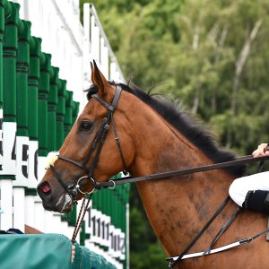 Newcastle | Northumberland Plate Festival | 27, 29/6/24