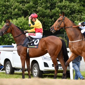 Newcastle | Northumberland Plate Festival | 27, 29/6/24