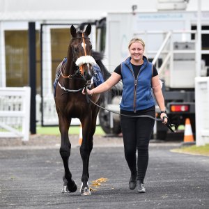 Newcastle | Northumberland Plate Festival | 27, 29/6/24