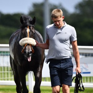 Newcastle | Northumberland Plate Festival | 27, 29/6/24