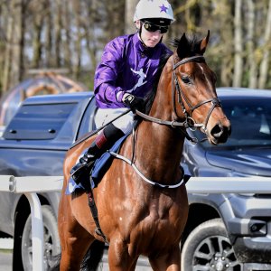 Newcastle | All-Weather Championships | 29/3/24