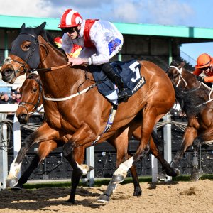 Newcastle | All-Weather Championships | 29/3/24