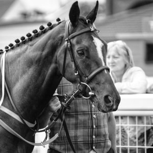 Redcar | Go Racing in Yorkshire | 18/7/21