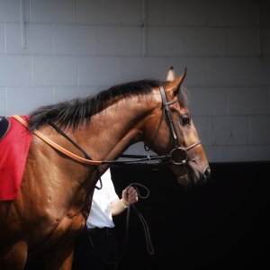 Redcar | Go Racing in Yorkshire | 18/7/21