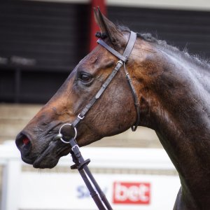 Redcar | Go Racing in Yorkshire | 18/7/21