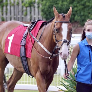 Redcar | Go Racing in Yorkshire | 18/7/21
