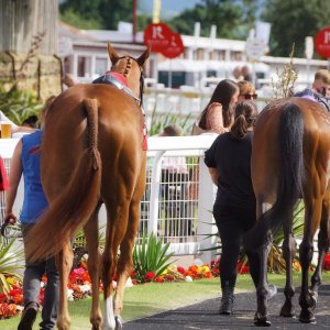 Redcar | Go Racing in Yorkshire | 18/7/21
