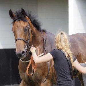 Redcar | Go Racing in Yorkshire | 18/7/21