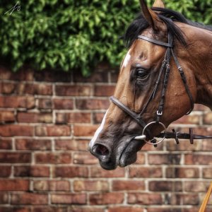 Redcar | Go Racing in Yorkshire | 18/7/21