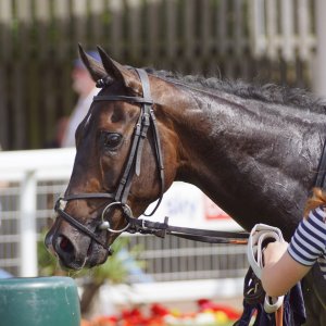 Redcar | Go Racing in Yorkshire | 18/7/21
