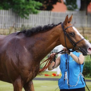 Redcar | Go Racing in Yorkshire | 18/7/21