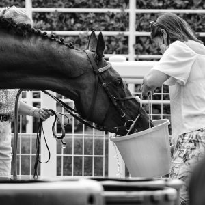 Redcar | Go Racing in Yorkshire | 18/7/21