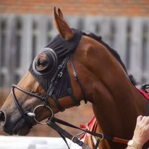 Redcar | Go Racing in Yorkshire | 18/7/21