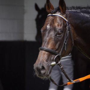 Redcar | Go Racing in Yorkshire | 18/7/21