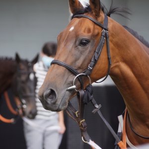 Redcar | Go Racing in Yorkshire | 18/7/21