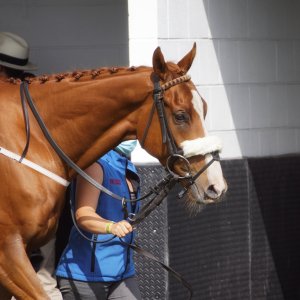 Redcar | Go Racing in Yorkshire | 18/7/21
